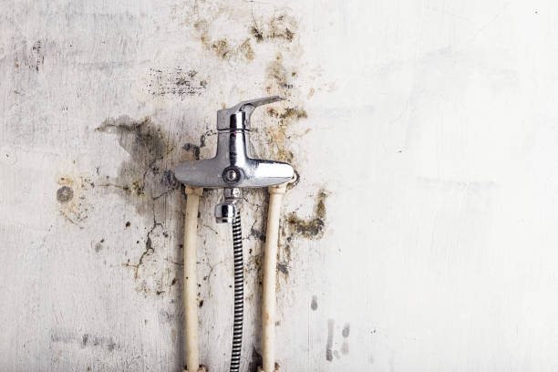 Best Office Mold Removal Services  in Nyon Lake, CA