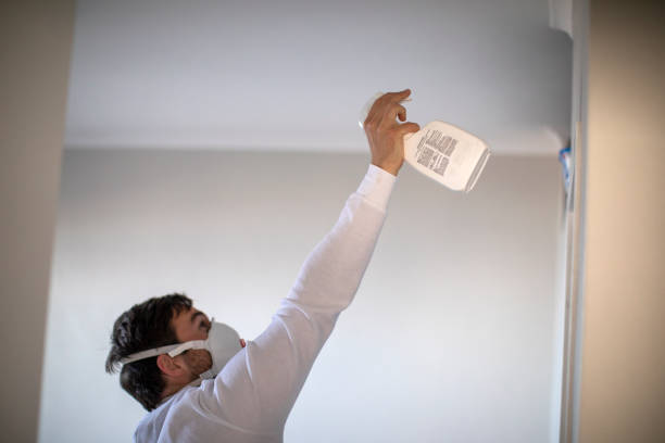 Best Commercial Mold Removal  in Nyon Lake, CA