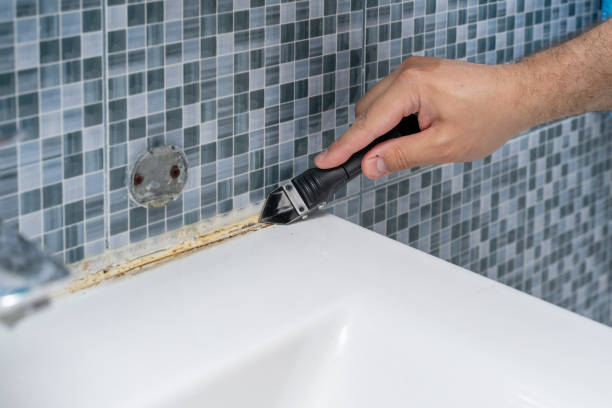 Best Affordable Mold Removal  in Nyon Lake, CA