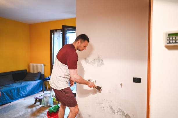 Certified Mold Removal in Canyon Lake, CA