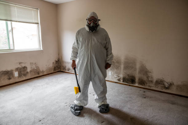 Best Mold Remediation  in Nyon Lake, CA